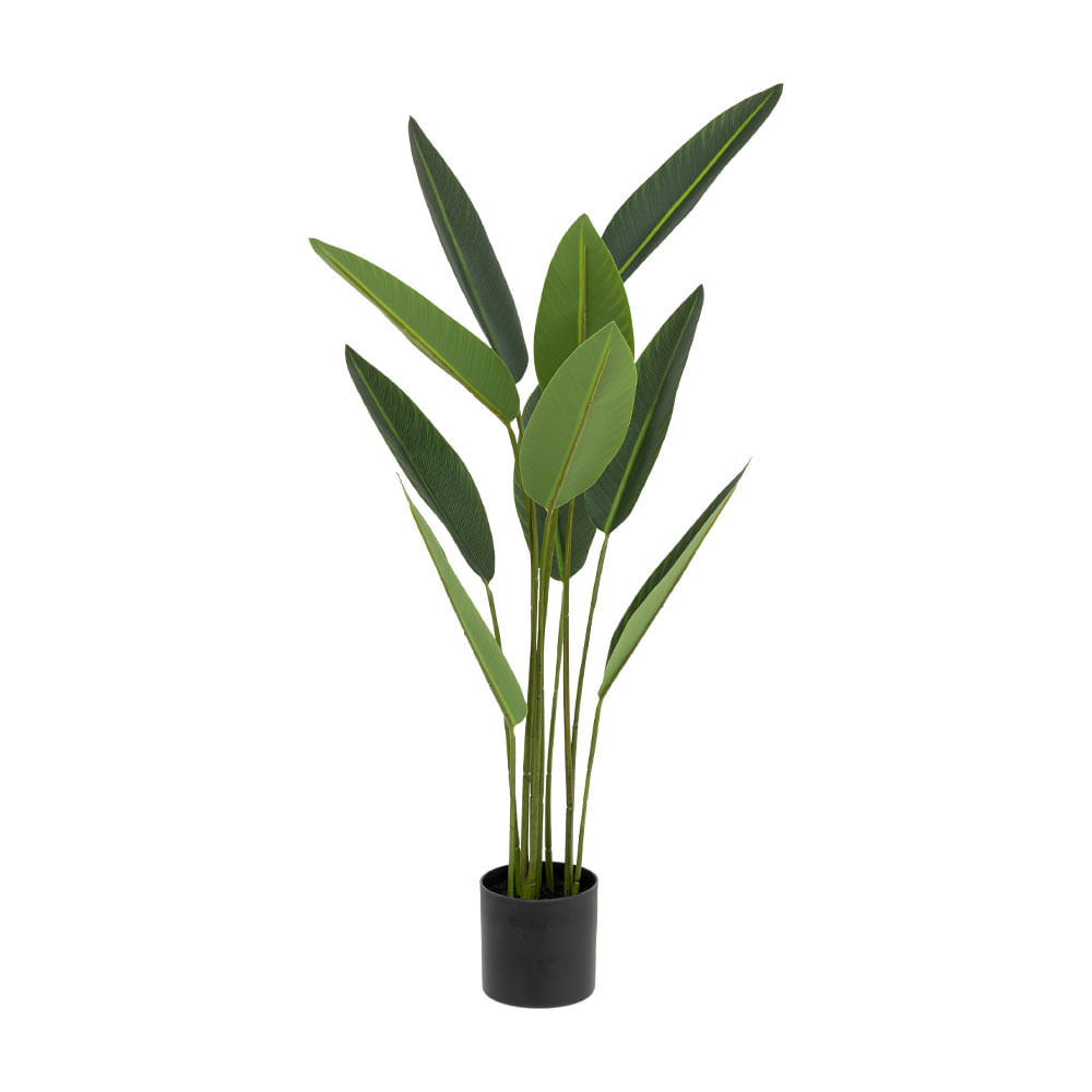 Planta con Maceta Atmosphera 97cm
