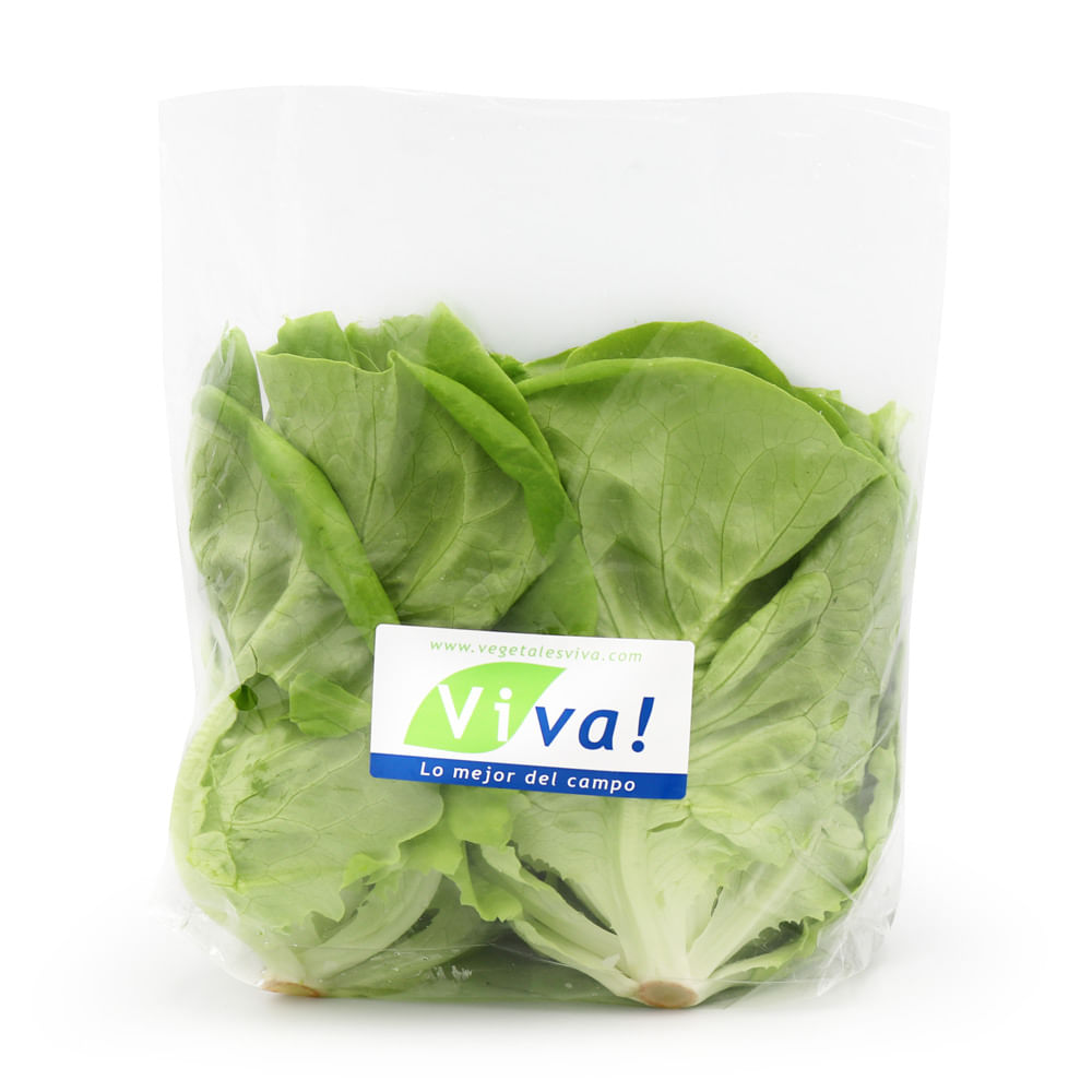 Lechuga Butterhead Viva x un