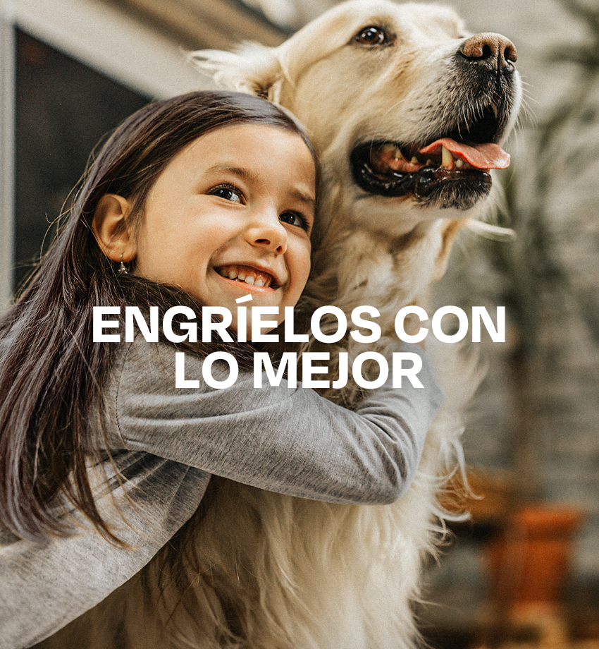 PARA LOS ENGREIDOS(SOLO CARGAR CODIGOS A LA COLECCION)