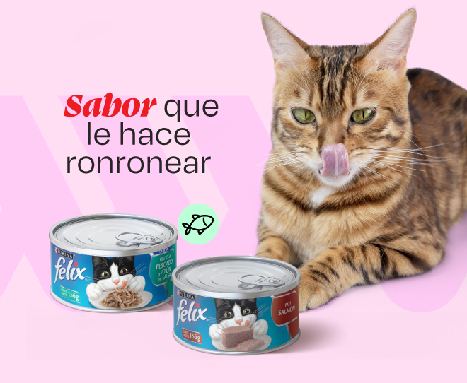 FELIX FILETES PATE PESCADO ATUN 156 GRS