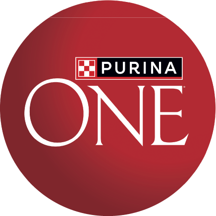 PURINA ONE