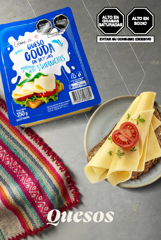 QUESO MAASDAM GESTAM XKG(MOLX250G) a 95