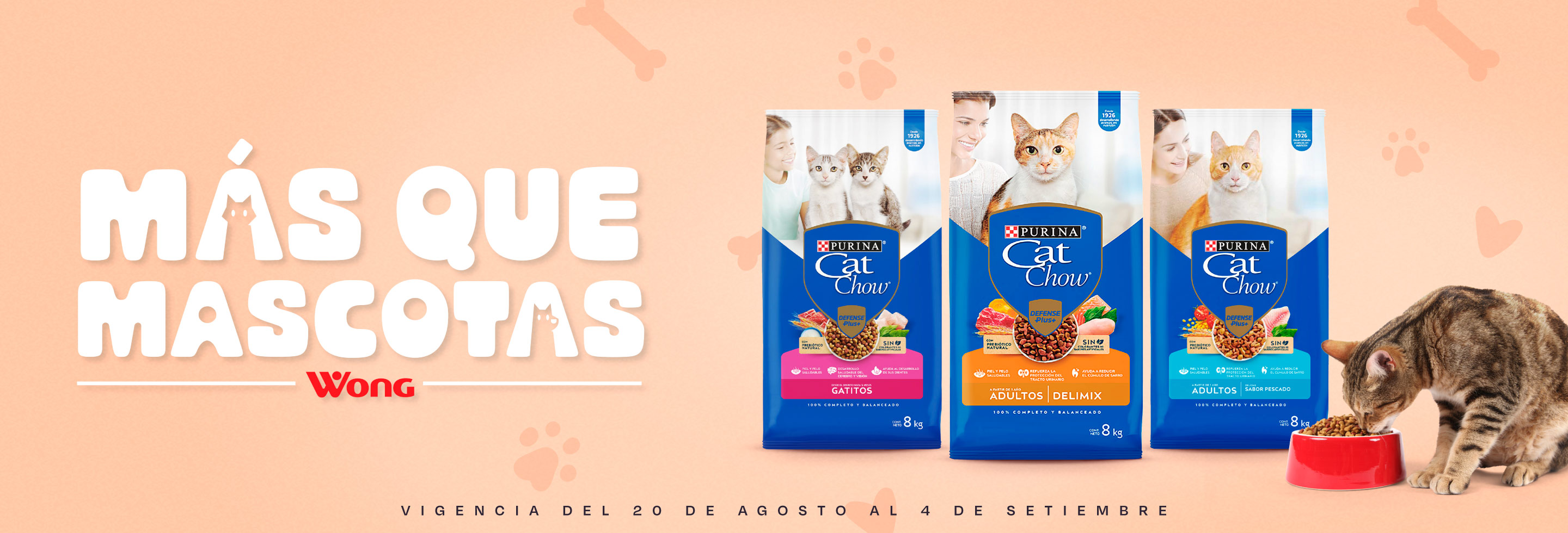 MAS QUE MASCOTAS CAT  CHOW