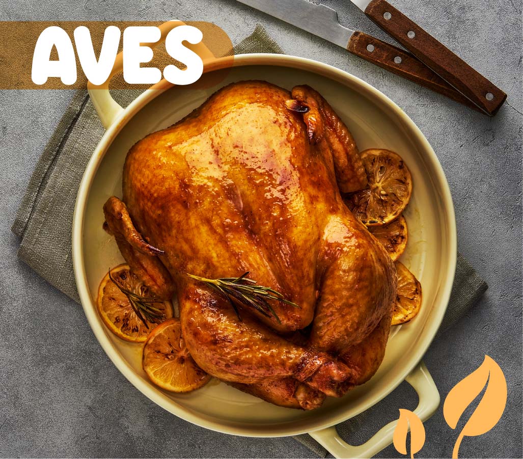 AVES