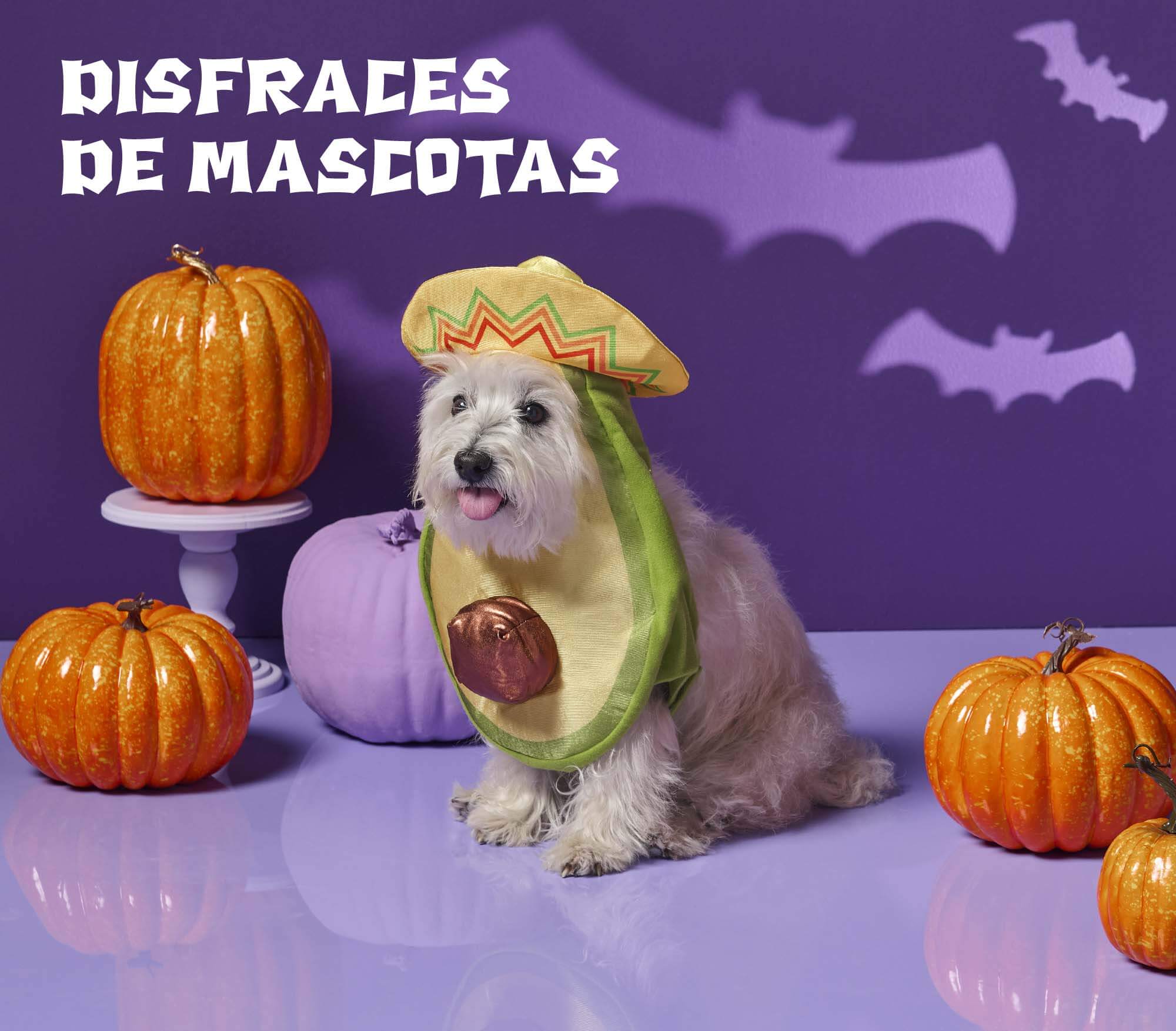DISFRACES MASCOTAS
