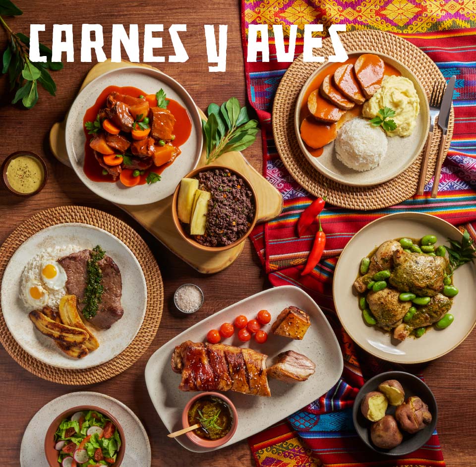 BANNER 1 CARNES Y AVES